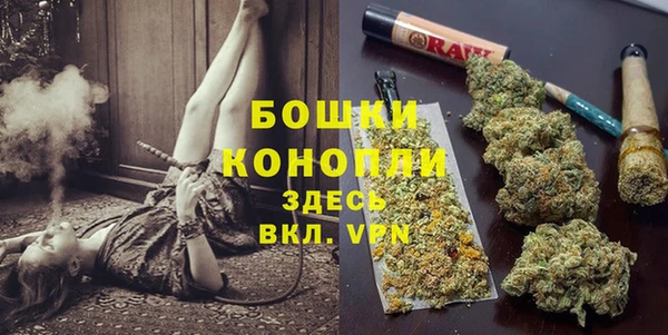 спиды Медногорск